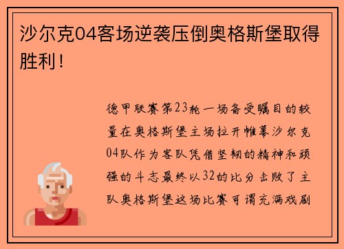 沙尔克04客场逆袭压倒奥格斯堡取得胜利！